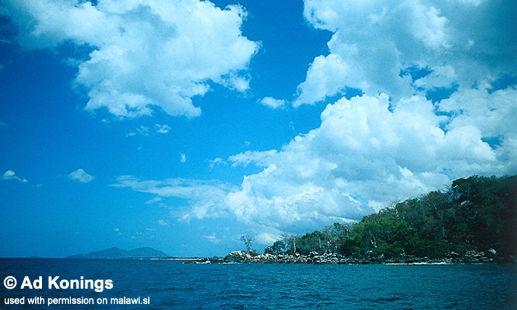 Undu Reef